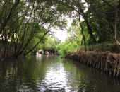 les 40 ans du parc et les marais poitevin